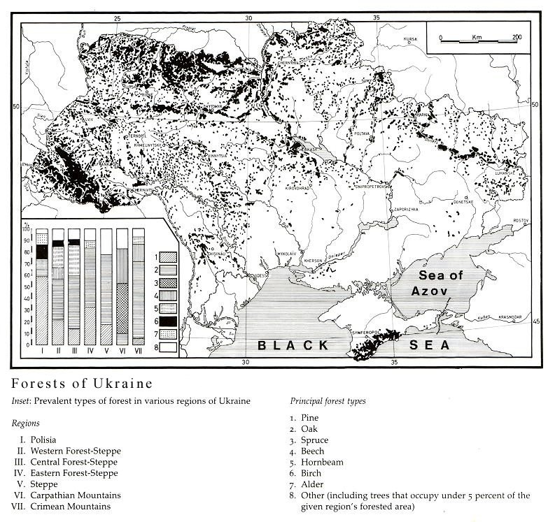 Image from entry Forest in the Internet Encyclopedia of Ukraine